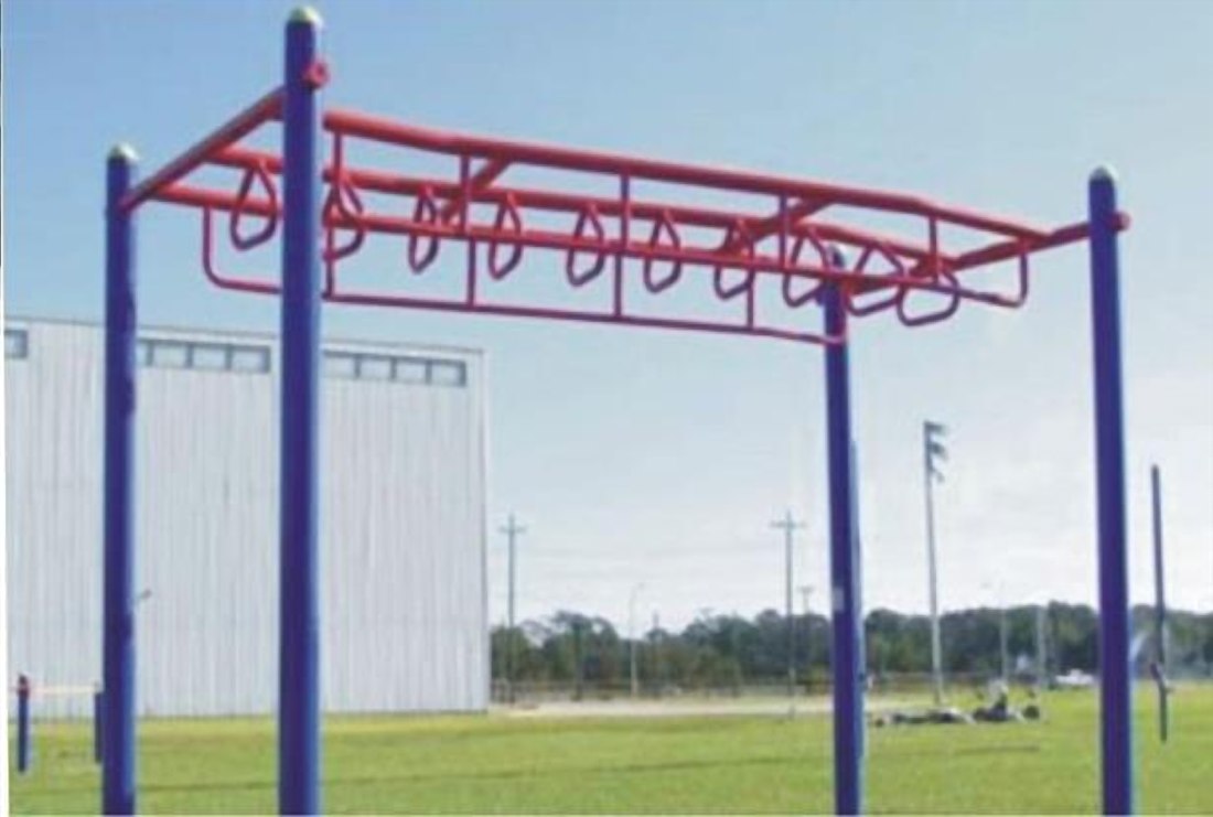 Twister Monkey Bar